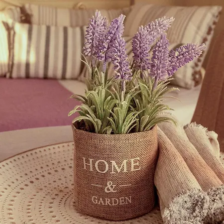 Sun And Stone * Atháni