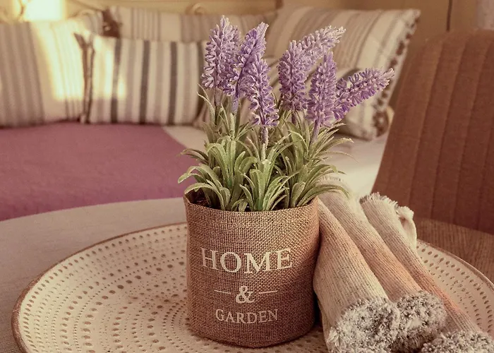 Sun And Stone * Athanion